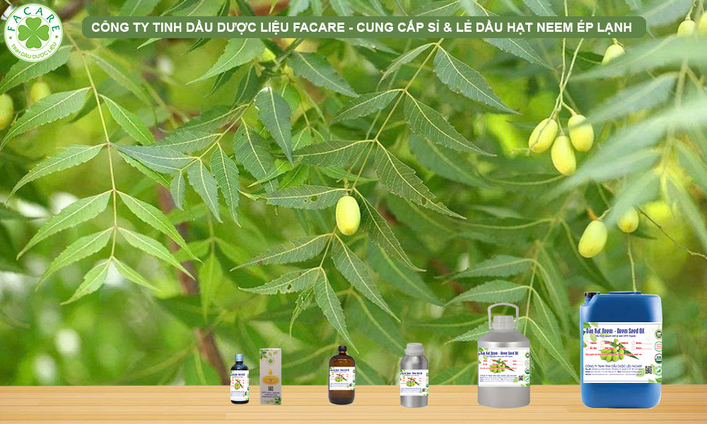 CUNG CẤP SỈ LẺ DẦU HẠT NEEM ÉP LẠNH
