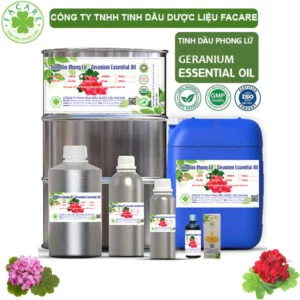 Tinh Dầu Phong Lữ - Geranium Giá Sỉ