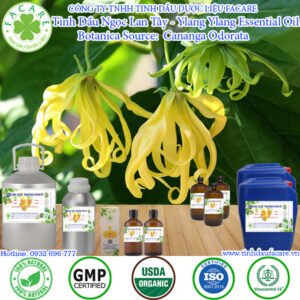 Tinh Dầu Ngọc Lan Tây (Ylang Ylang Essential Oil)