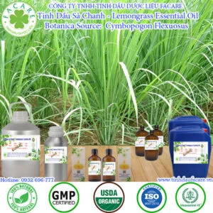 Tinh Dầu Sả Chanh (Lemongrass Essential Oil) nguyên chất có mùi hương sả thơm mát, đặc tính kháng khuẩn, chống viêm, kháng nấm giúp điều trị cảm, tăng cường hệ miễn dịch, tăng lưu thông máu, giảm sưng viêm xương khớp và đuổi muỗi, côn trùng hiệu quả.