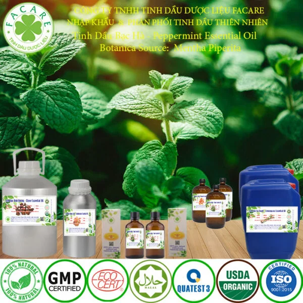 Tinh Dầu Bạc Hà - Peppermint Giá Sỉ - Hình ảnh 3