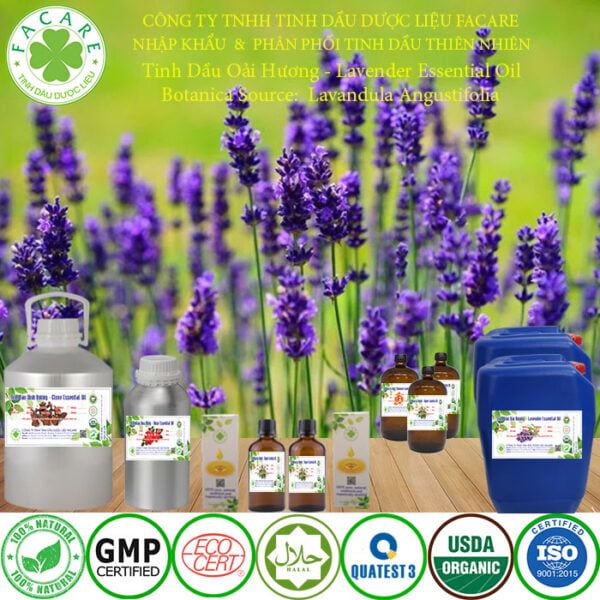 tinh dầu oải hương lavender Oil 8