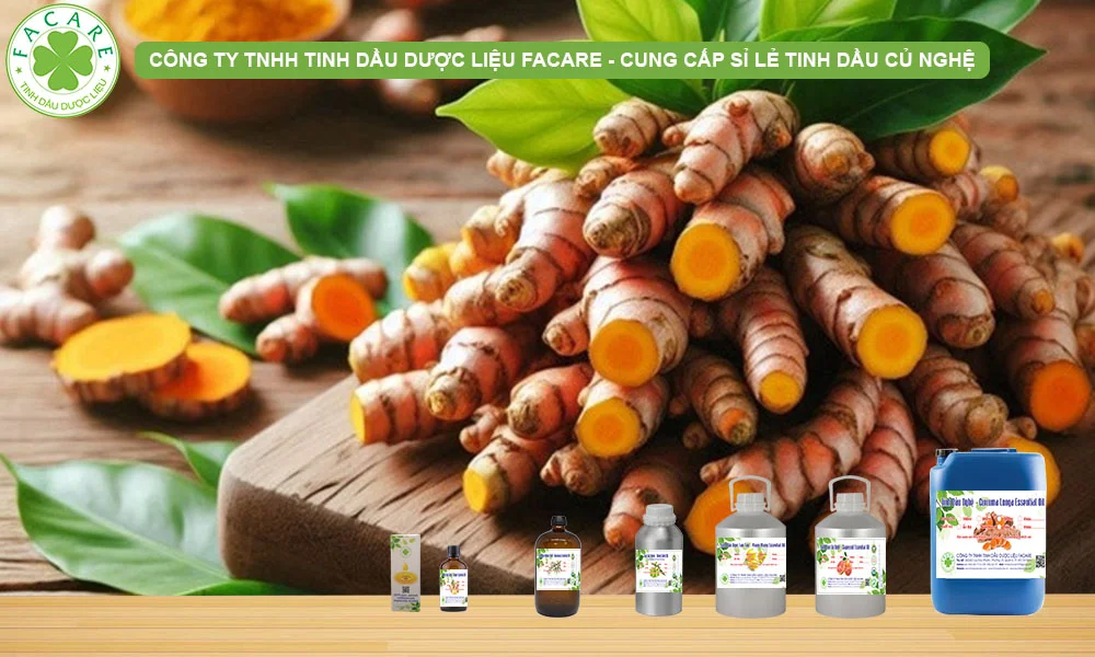 CUNG CẤP SỈ LẺ TINH DẦU NGHỆ ĐỎ