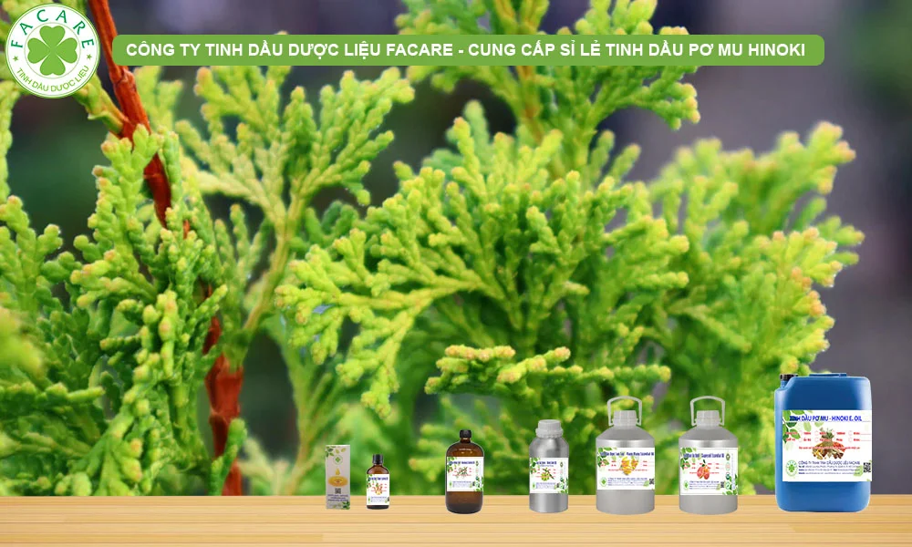 CUNG CẤP SỈ LẺ TINH DẦU PƠ MU HINOKI