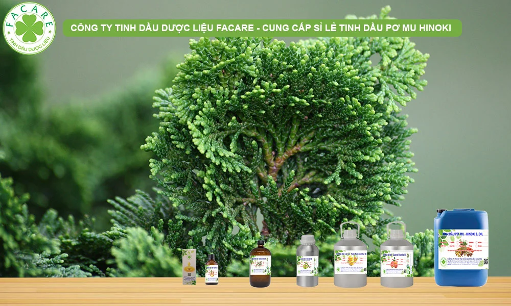 CUNG CẤP SỈ LẺ TINH DẦU hinoki nguyên chất