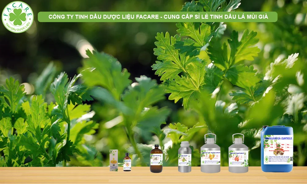 CUNG CẤP SỈ LẺ TINH DẦU mùi già làm thực phẩm, nến thơm