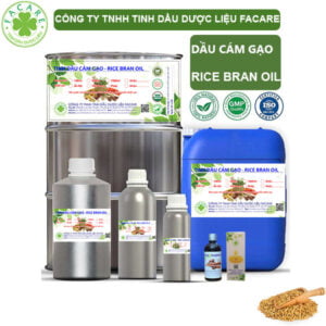 Dầu Cám Gạo - Rice Bran Giá Sỉ