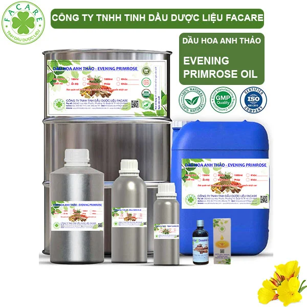 Dầu Hoa Anh Thảo - Evening Primrose Giá Sỉ