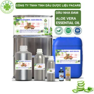 Dầu Lô Hội - Aloe Vera Giá Sỉ