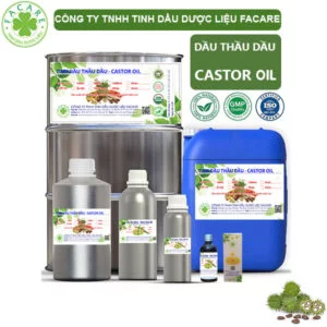 Dầu Thầu Dầu - Castor Giá Sỉ
