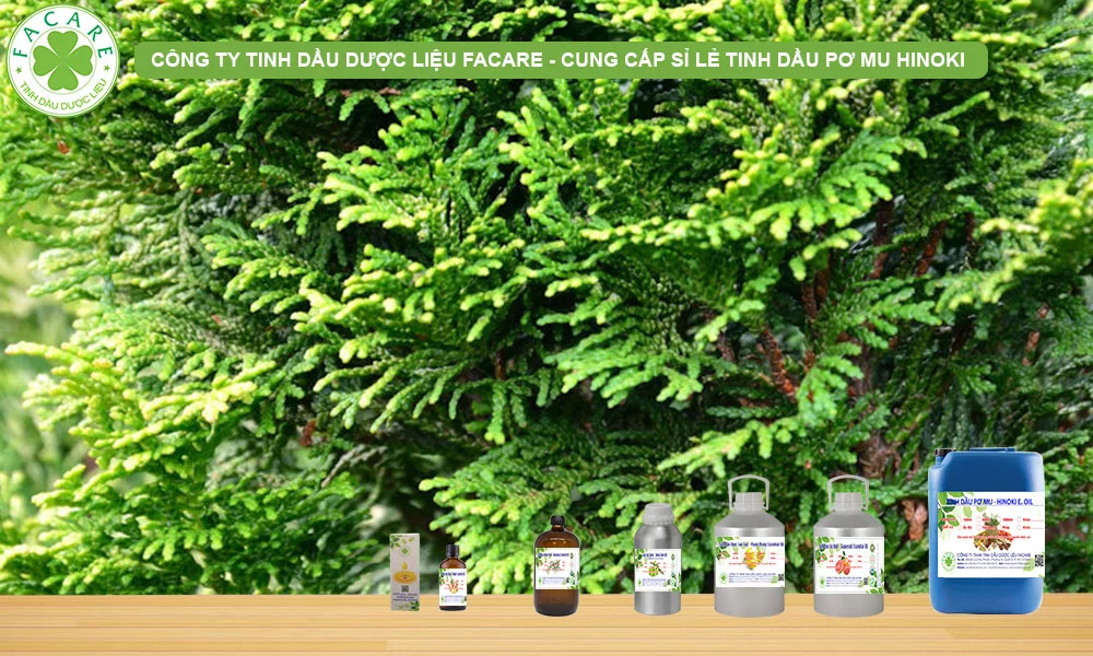 QUY CÁCH ĐÓNG GÓI TINH DẦU HINOKI