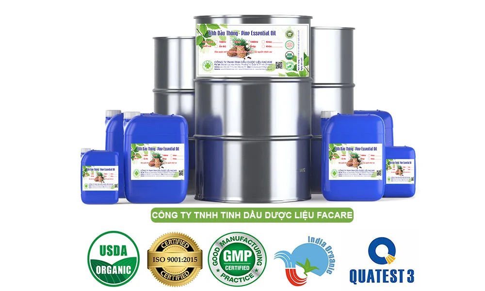 Quy Cách Đóng Gói Tinh Dầu GỖ THÔNG ĐỎ