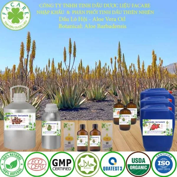 Tinh DẦU LÔ HỘI BÁN giá sỉ