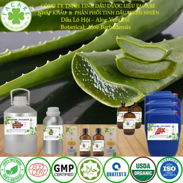 Tinh DẦU LÔ HỘI giá sỉ