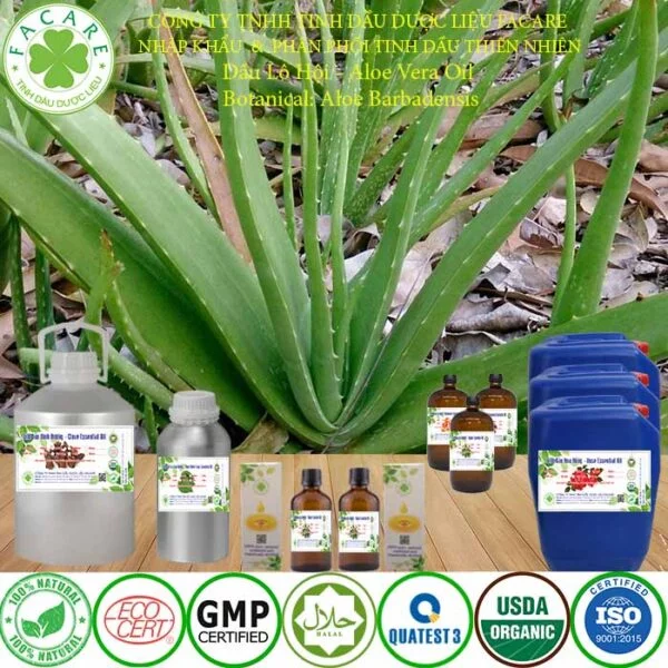 Tinh DẦU LÔ HỘI nguyên chất bán buôn giá sỉ