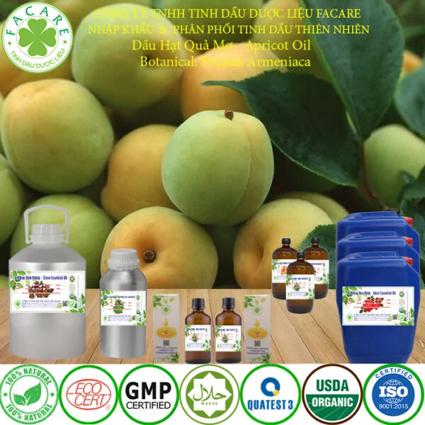 Dầu Hạt Quả Mơ - Apricot Oil Giá Sỉ - Hình ảnh 2