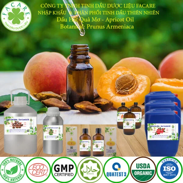 Tinh DẦU QUẢ MƠ giá sỉ
