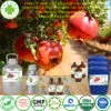 Tinh DẦU hạt lựu nguyên chất bán buôn
