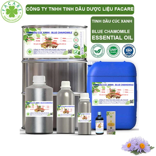 Tinh Dầu Cúc Xanh - Blue Chamomile Giá Sỉ
