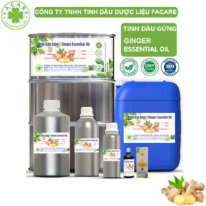 Tinh Dầu Gừng - Ginger Giá Sỉ