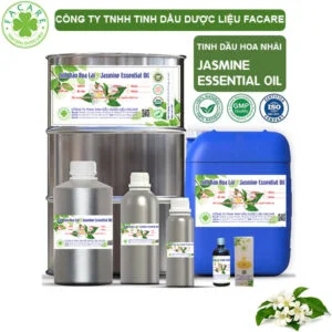 Tinh Dầu Hoa Nhài - Jasmine Giá Sỉ