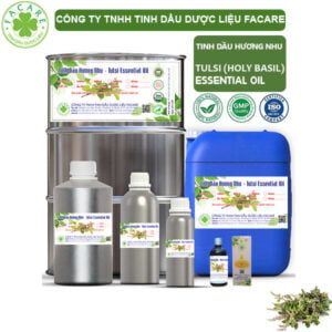 Tinh Dầu Hương Nhu Tía -Tulsi Giá Sỉ