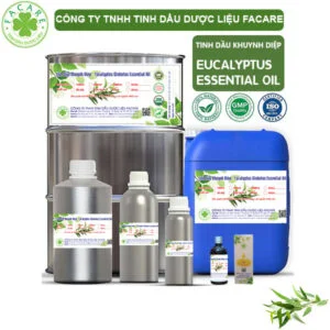 Tinh Dầu Khuynh Diệp - Eucalyptus Globulus Giá Sỉ