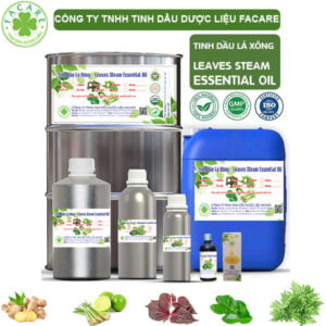 Tinh Dầu Lá Xông - Leaves Steam Giá Sỉ