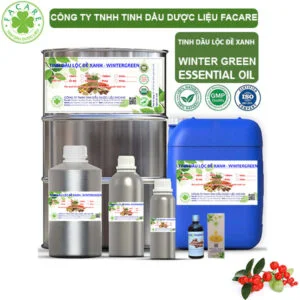 Tinh Dầu Lộc Đề Xanh - Winter Green Giá Sỉ
