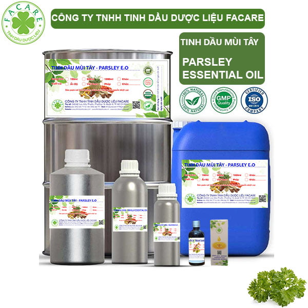 Tinh Dầu Mùi Tây - Parsley Giá Sỉ