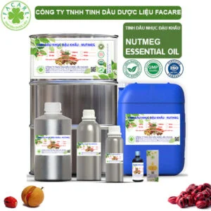 Tinh Dầu Nhục Đậu Khấu - Nutmeg Giá Sỉ