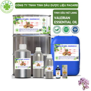 Tinh Dầu Nữ Lang - Valerian Giá Sỉ