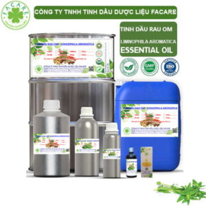 Tinh Dầu Rau Om - Limnophila Aromatica Giá Sỉ