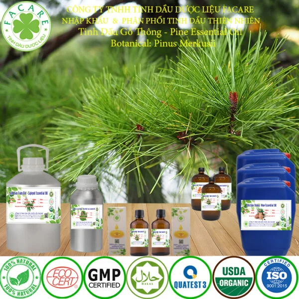 Tinh Dầu THÔNG giá sỉ 39