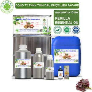 Tinh Dầu Tía Tô Tím - Perilla Giá Sỉ