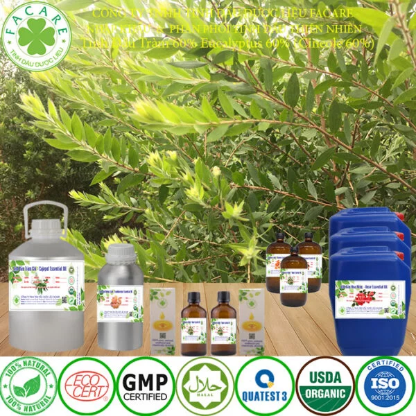 Tinh Dầu Tràm 60% Eucalyptol 60% (Cineole 60%) 68