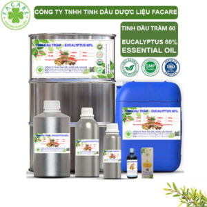 Tinh Dầu Tràm 60 - Eucalyptus 60 % Giá Sỉ