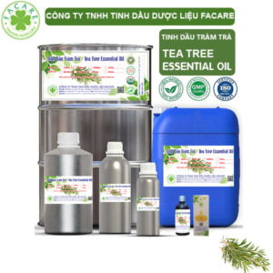 Tinh Dầu Tràm Trà - Tea Tree Giá Sỉ