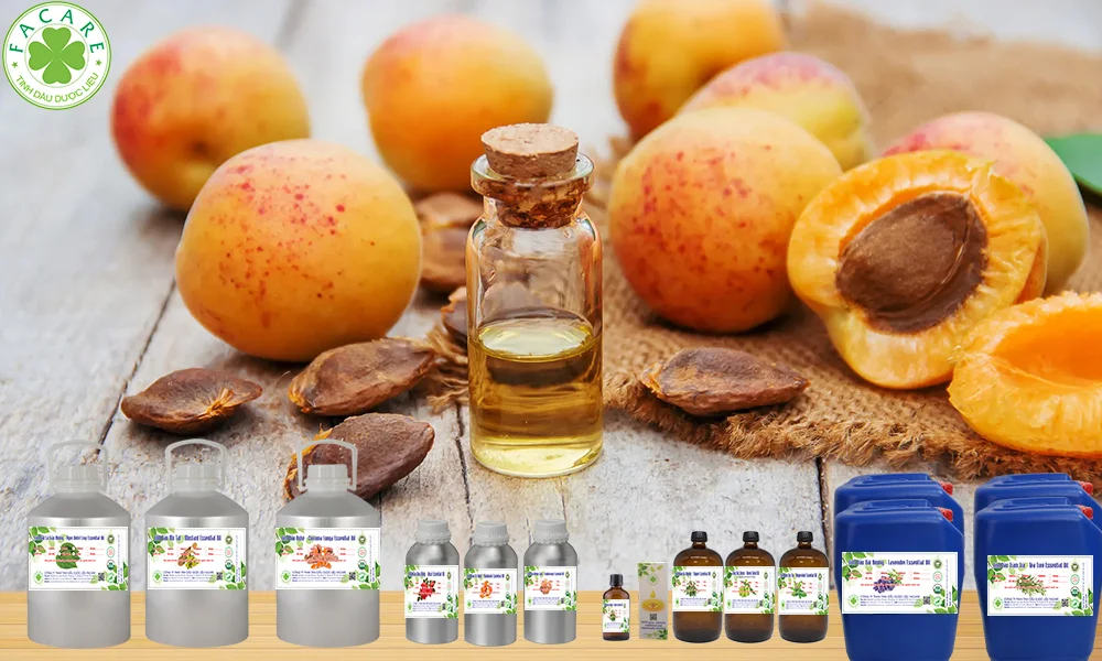 Tinh Dầu quả mơ nguyên chất