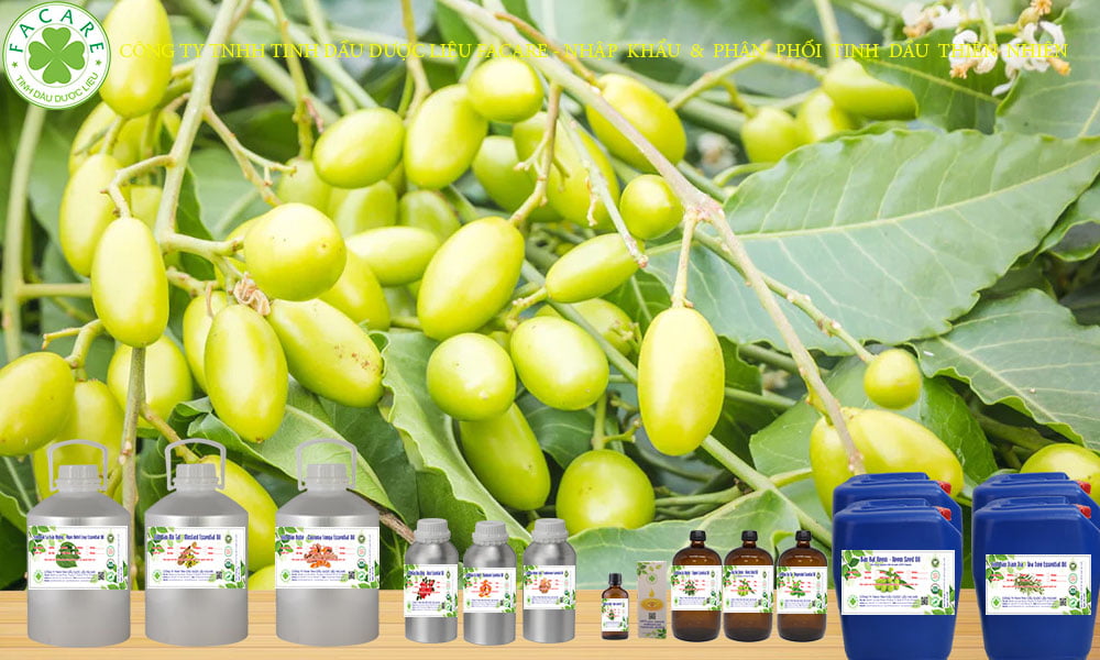Tinh dầu neem bảo vệ cây trồng