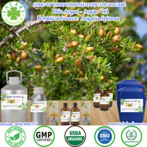 Dầu Argan (Argan Oil) có chứa nhiều chất chống oxy hóa và giàu vitamin E có tác dụng làm chậm quá trình lão hóa, dưỡng ẩm tóc và chăm sóc làn da luôn tươi trẻ.