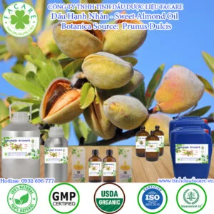 Dầu Hạnh Nhân (Sweet Almond Oil) có nhiều công dụng tốt cho sức khỏe như tăng cường sức khỏe xương, nâng cao hệ miễn dịch cơ thể, ngừa ung thư, giảm viêm, kháng khuẩn, hỗ trợ điều trị các bệnh về tim mạch, kiểm soát ổn định lượng đường trong máu. chăm sóc da và tóc hiệu quả.