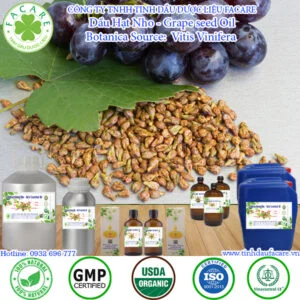 Dầu Hạt Nho (Grape seed Oil) có khả năng làm chậm lão hóa sớm, dưỡng da, kích thích mọc tóc, tăng cường hệ miễn dịch, bảo vệ sức khỏe tim, kích thích tuần hoàn và duy trì cân nặng ổn định.