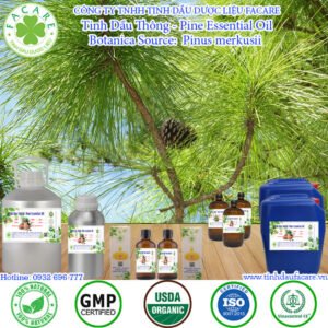 Tinh Dầu Thông (Pine Essential Oil) thường được dùng làm thuốc kích hoạt động của tim, hệ hô hấp và sản xuất một số dược phẩm khác. Dầu thông còn là nguyên liệu bán tổng hợp camphor, terpin, terpineol.