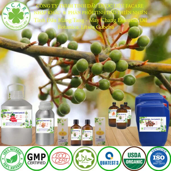 tinh dầu MÀNG TANG nguyên chất giá sỉ 6