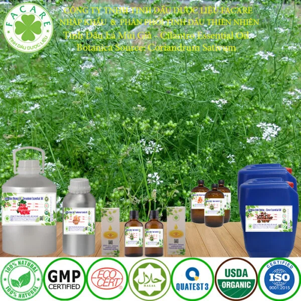 tinh dầu MÙI GIÀ nguyên chất giá sỉ 8