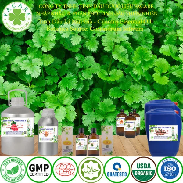 tinh dầu MÙI GIÀ nguyên chất giá sỉ LẺ