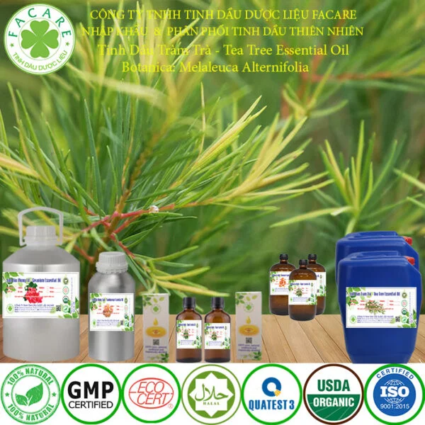 tinh dầu TRÀM TRÀ SỈ LẺ giá sỉ