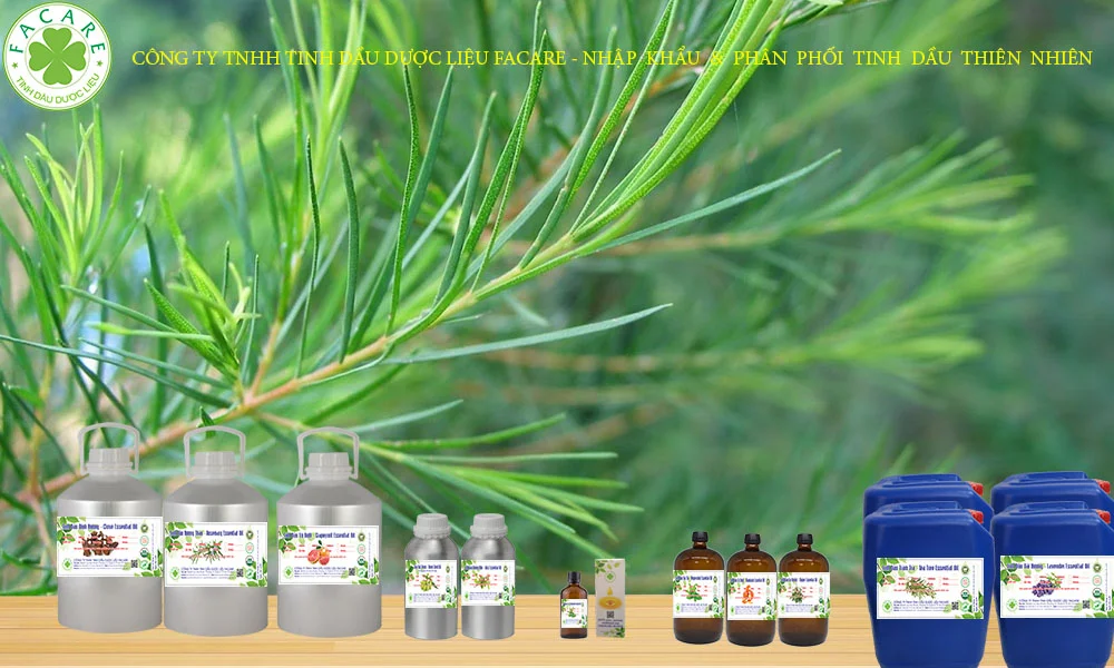 tinh dầu TRÀM TRÀ TEA TREE sỉ lẻ 5
