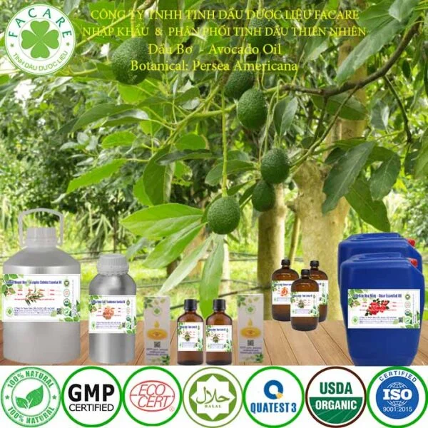 tinh dầu quả bơ sỉ lẻ nguyên chất 11